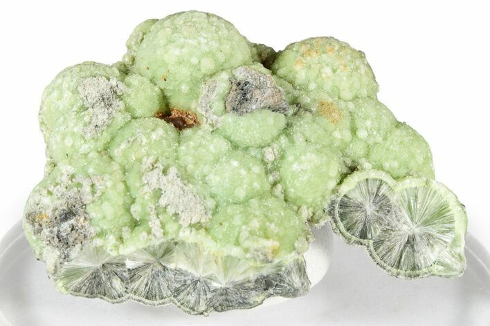 Sparkly Botryoidal Green Wavellite Formation - Arkansas #354586